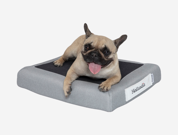 מזרן TEMPUR לכלבים