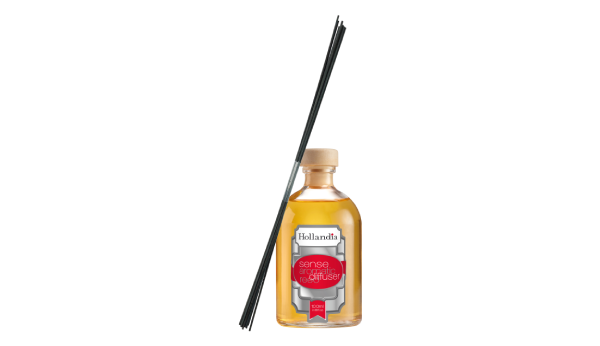 Reed diffuser with black sticks leaning on a glass bottle on a white background
