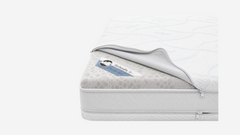 מזרן Dual Comfort VeroClean 25 CM