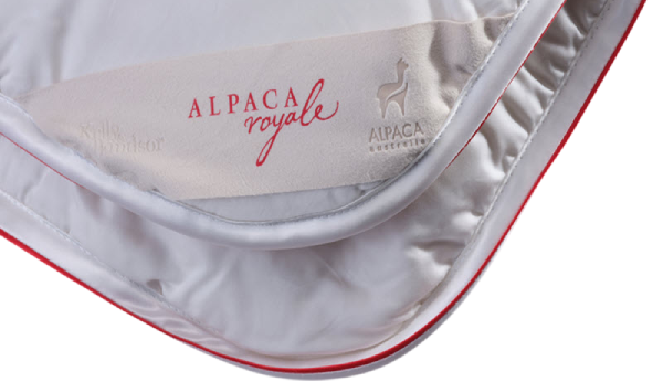 Alpaca Royale product with branding on a white background