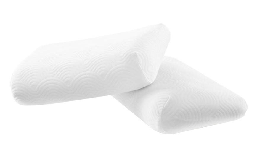 כרית טמפור וואן הולנדיה