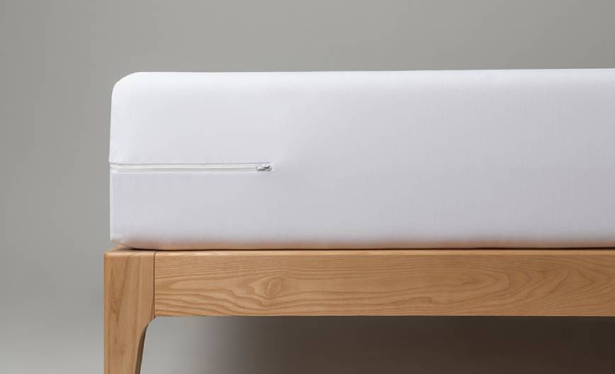 מגן המזרן Anti Bed Bugs