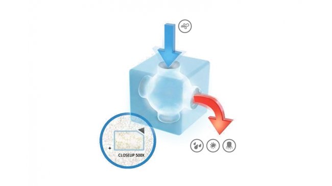 איוורור והיגיינה