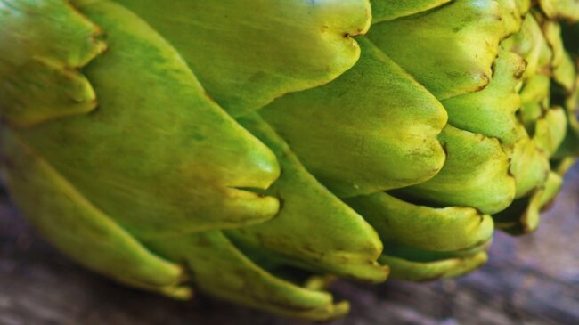 שדה החלומות